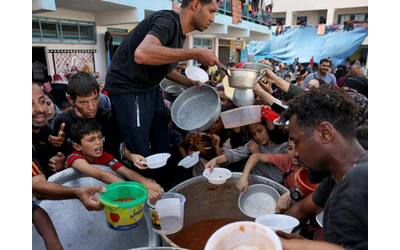 Gaza, assalti agli aiuti: la gente ha fame. E per cucinare alberi abbattuti