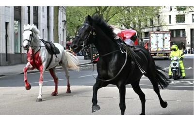 Londra, cavalli dell’esercito fuggono per le strade: 5 feriti vicino a Buckingham Palace, scontro con un pullman