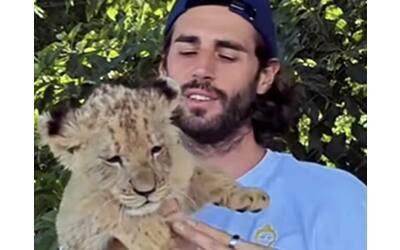 gianmarco tamberi foto con un cucciolo di leone l etologa lo critica sui social e lui si scusa
