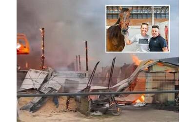 incendio all ippodromo di tioga downs negli stati uniti muoiono 30 cavalli