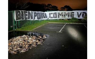 Lorient, la protesta degli ultrà: 400kg di pesce marcio davanti alla sede del club