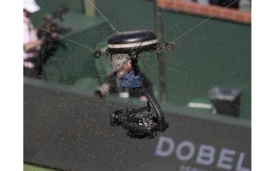 Zverev-Alcaraz, uno sciame d'api frena Indian Wells: giocatori e arbitro scappano