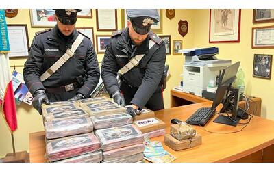 la droga dei narcos in un appartamento sequestrato tesoro da 5 milioni di euro di cocaina
