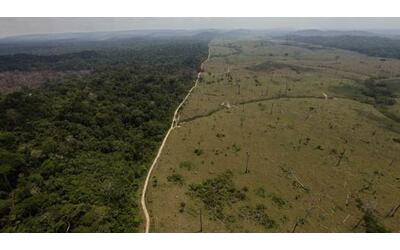 amazzonia la previsione choc di nature nel 2050 il punto di non ritorno e collasso dell ecosistema
