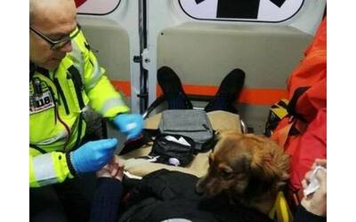 anziano si sente male ma non vuole abbandonare il suo cane i sanitari lo fanno salire in ambulanza con lui