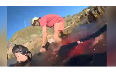 australia 20enne di parma attaccato da uno squalo perde una gamba il video choc sulla spiaggia sto morendo
