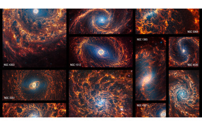 Le 19 galassie a spirale catturate dal telescopio Webb: «Ecco come vedrebbero la Via Lattea dall’Universo»