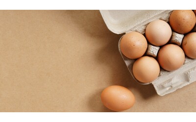 Allarme salmonella nelle uova dopo la scoperta di un focolaio in un allevamento nel Salento: ecco i lotti richiamati dal Ministero della Salute