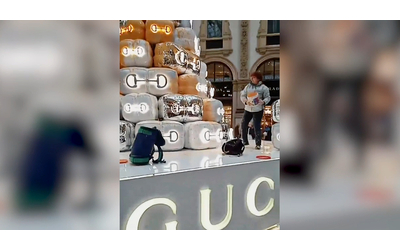 Azione degli attivisti per il clima in Galleria Vittorio Emanuele a Milano: imbrattato l’albero di Natale di Gucci – Video