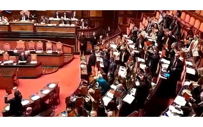 bagarre al senato durante la discussione sul premierato le opposizioni sventolano copie della costituzione in aula video