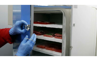 baldanti un virologo su tre poltrone rischia il processo con altri due per due sacche di sangue trafugate per validare i test diasorin
