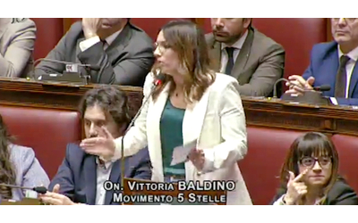 Baldino (M5s) paragona Salvini a Homer Simpson: “Rapporti Lega-Putin? Si nasconde dietro una siepe”