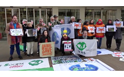 “Basta favori ai cacciatori”, presidio delle associazioni ambientaliste a Milano sotto il Pirellone – Video