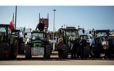 blocchi stradali attivisti criminali ma agricoltori eroi quanta ipocrisia