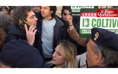 Cannabis, a Montecitorio flash mob per una legge sulla coltivazione domestica: la questura vieta la piazza, identificati i partecipanti