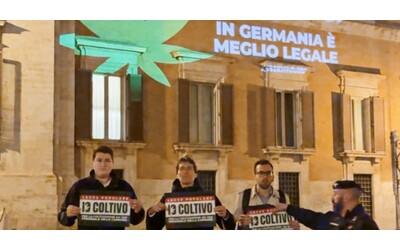Cannabis, Schlein e Grillo: “Berlino l’ha legalizzata, muoviamoci”....