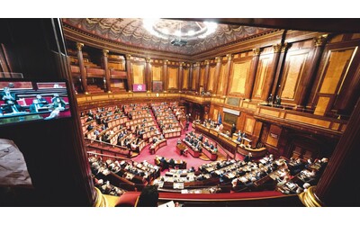 caos in senato emendamento sul salario minimo bocciato con il voto del presidente della commissione l opposizione attacca
