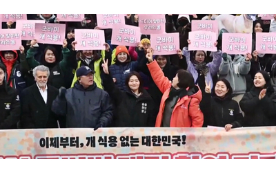 consumo alimentare di carne di cane vietato in corea del sud la gioia degli attivisti video
