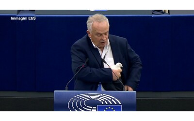 Eurodeputato estrae dalla tasca una colomba e la libera nell’Aula del Parlamento europeo come...
