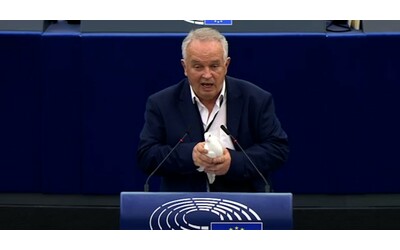 Eurodeputato slovacco libera una colomba nel Parlamento Ue: “Un messaggio di pace”. Imbarazzo in Aula: “Riuscite a catturarla?”