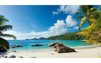 giamaica la rilassante isola dell avventura