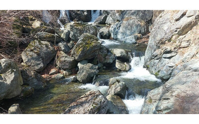‘Gli intrecci del fiume’: così dovremmo sentire i corsi d’acqua come...