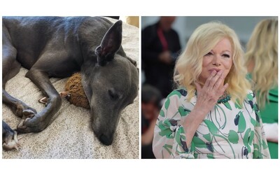 Il dolore dei cani di Sandra Milo, la figlia Azzurra: “Piangono, tremano e...