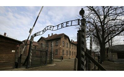 L’account del Museo di Auschwitz continua a perdere followers, l’appello: “Aiutaci a mantenere viva la memoria”