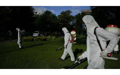 l organizzazione panamericana della sanit verso la peggiore epidemia di dengue della storia gi 3 5 milioni di contagi