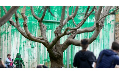 la nuova opera di banksy a londra spunta un suo murale ecologista dove prima c era un albero spoglio