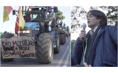 lollobrigida si deve dimettere e i vertici di coldiretti vanno azzerati gli agricoltori ancora in piazza a roma