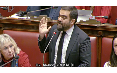 Manganellate agli studenti, Grimaldi al governo: “Mettiamo i codici...