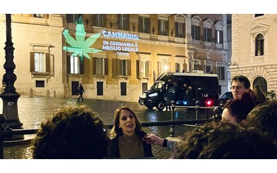 meglio legale proietta una foglia di cannabis su montecitorio il s della germania dimostra che abbandonare il proibizionismo possibile