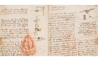 Mostre di Natale | Leonardo da Vinci, cos’è il genio? Un legame stretto tra bellezza e invenzione: disegni e documenti in mostra a Livorno