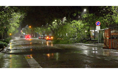 Nubifragio a Milano, alberi caduti e strade allagate: danni ai cantieri e alla segnaletica – Video