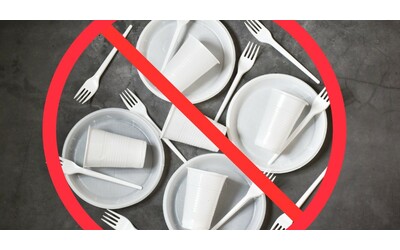 Pranzi e cene delle feste, attenzione ai piatti e ai bicchieri cancerogeni: ecco dove si trova la melamina e come ridurre il rischio