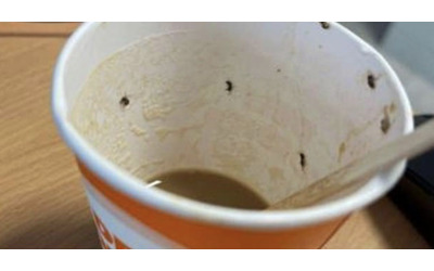 Prende un caffè dal distributore automatico ma è pieno di insetti: va in...