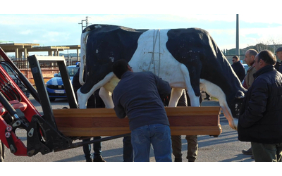protesta dei trattori a ragusa gli agricoltori trasportano l effigie di una vacca in una bara video