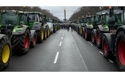 “Proteste dei trattori? La politica Ue si calerà le braghe pensando alle prossime elezioni. Una parte degli agricoltori è strumentalizzata dalla destra che vuole fermare il Green Deal”