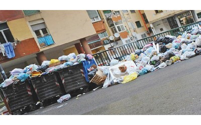 raccolta differenziata l italia marcia verso rifiuti zero nonostante l assenza del governo