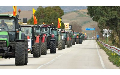 sicilia la protesta degli agricoltori decine di trattori in marcia lungo la palermo sciacca contro la morte del settore