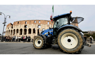 sondaggi demos otto italiani su dieci stanno con i trattori cala il gradimento del governo