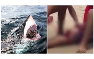 squalo attacca mamma e figlia che nuotano vicino alla spiaggia lei salva la bimba di 5 anni ma muore dissanguata