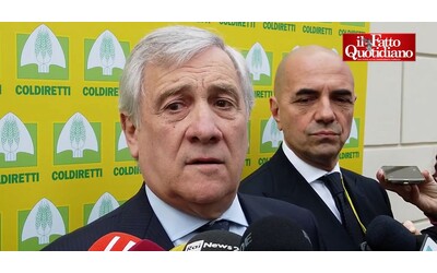 Tajani giustifica Lollobrigida e dice: “La fermata prevista dalle norme,...