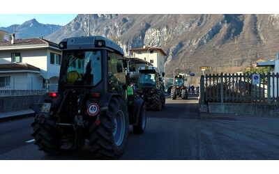 Trento, traffico paralizzato per la protesta dei trattori: centinaia di agricoltori in marcia verso il centro città