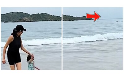 un predatore marino lo azzanna mentre fa il bagno in mare la disperata richiesta d aiuto immortalata nel video di un turista