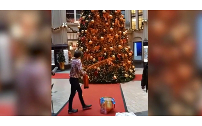 Vernice arancione sugli alberi di Natale, il blitz degli attivisti per il clima in quattro città tedesche – Video