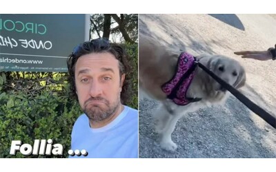 Vietano l’ingresso a Luca Toni con il suo cane Stella, l’ex bomber su tutte le furie: “Una follia!”. La replica: “Si sfoga su Instagram come un 16enne”