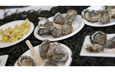 Vietata la vendita di ostriche del sud ovest della Francia, troppe intossicazioni alimentari. Allevatori: “Crisi economica senza precedenti”