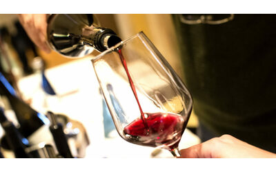 vinnatur tasting 2024 il paradiso del vino naturale vi raccontiamo il nostro divino tour tra gusti mai sentiti e etichette pop